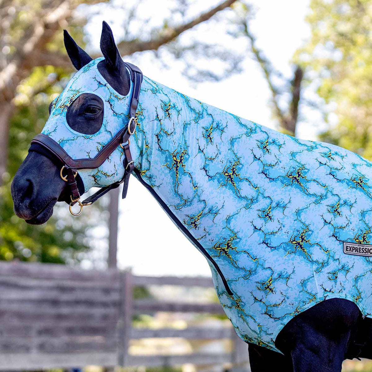 Jeffers Expression Lycra Hood for Horses