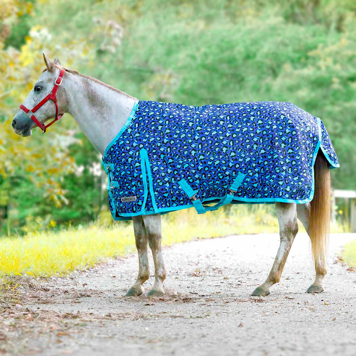 Jeffers Expression Pony 1200 Denier Medium Weight Standard Neck Turnout Blanket, 240g Fill