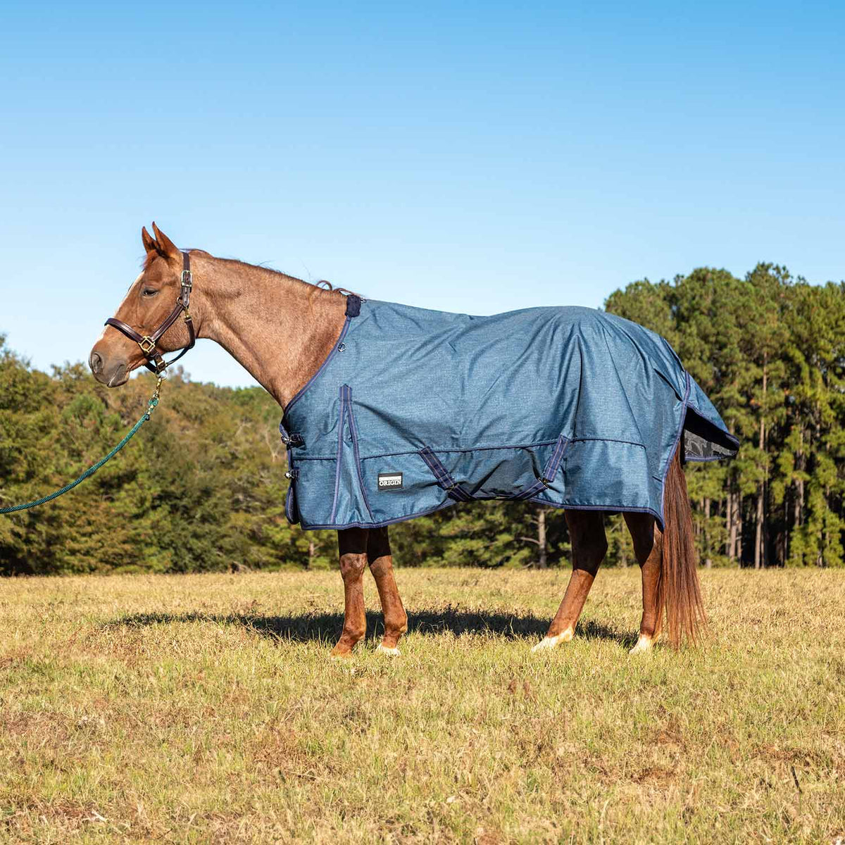 Jeffers Poplar Head "Origin" 600D Medium Weight Turnout Blanket, 240g | Waterproof & Breathable Horse Blanket