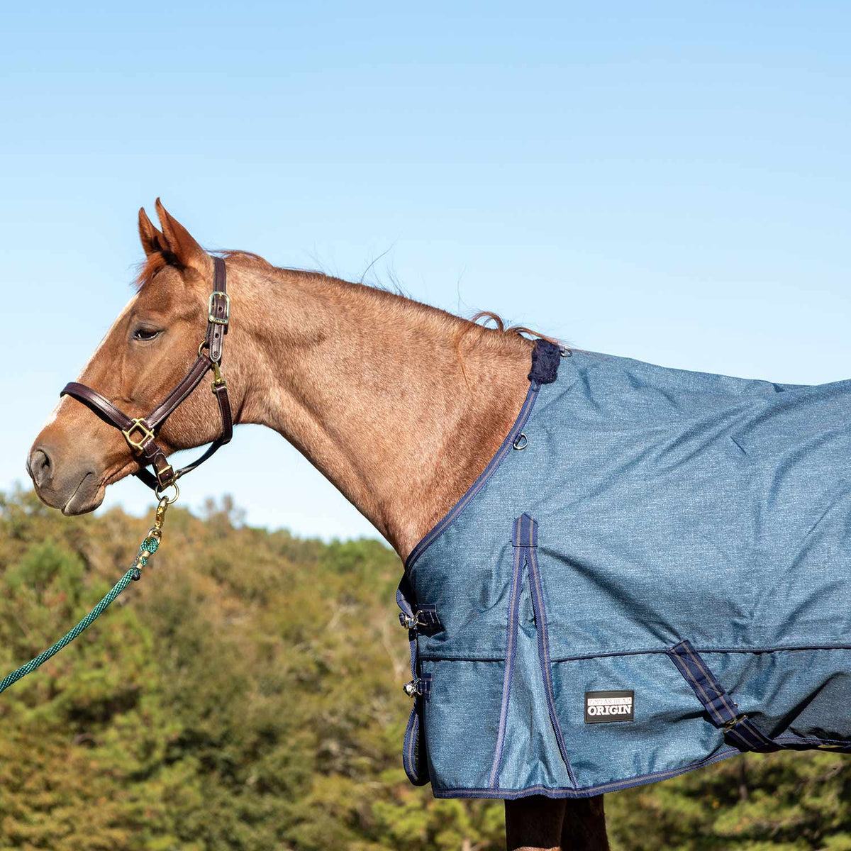 Jeffers Poplar Head "Origin" 600D Medium Weight Turnout Blanket, 240g | Waterproof & Breathable Horse Blanket