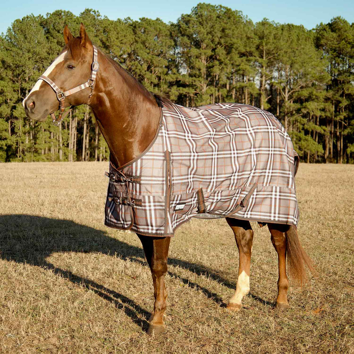 Jeffers Poplar Head "Refuge" 1200D Medium Weight Turnout Blanket, 240g - Waterproof, Breathable Horse Blanket